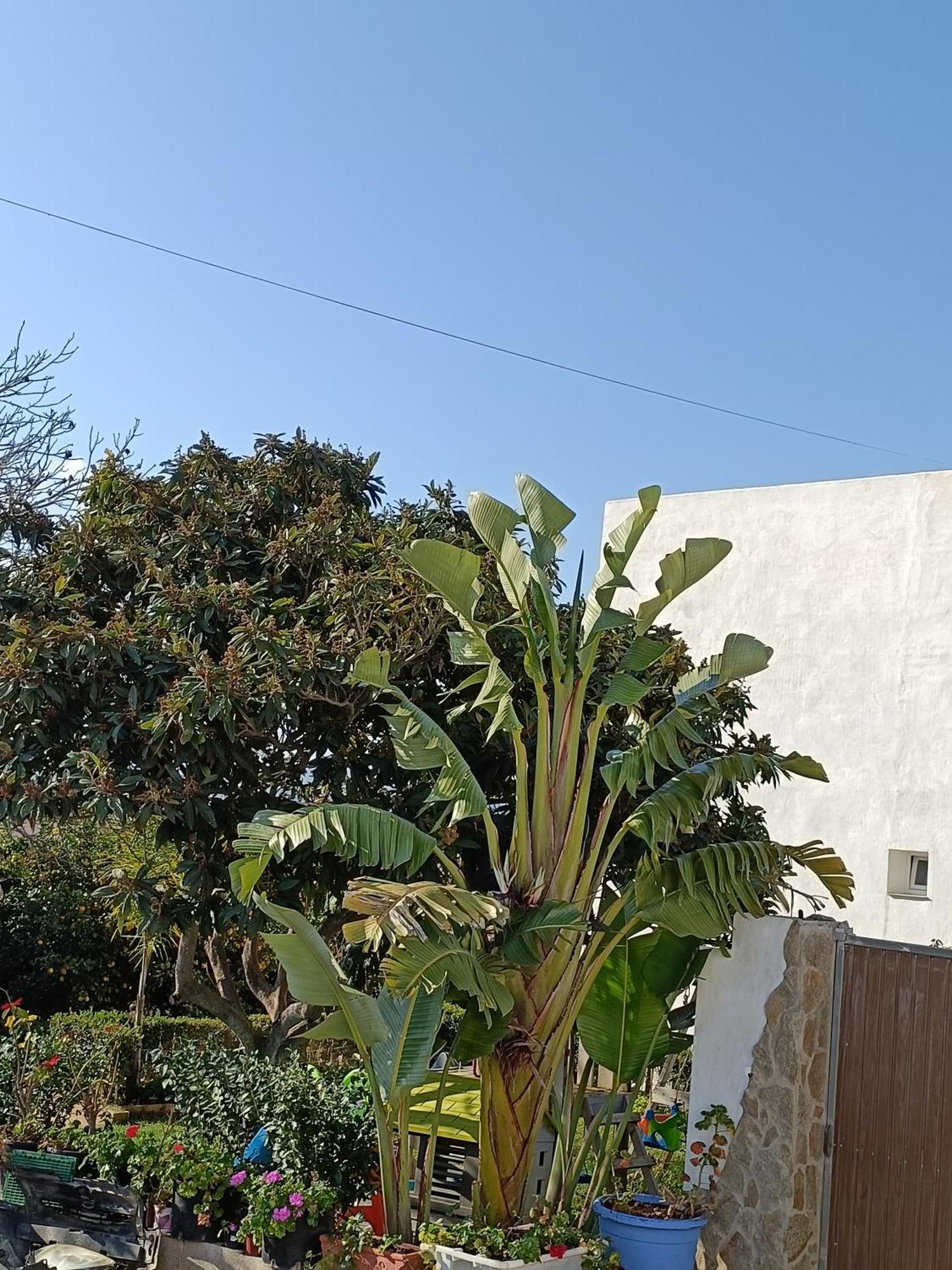 Pueblos Blancos เวเฮร์ เด ลา ฟรอนเตรา ภายนอก รูปภาพ
